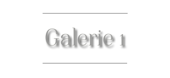 header_galerie1
