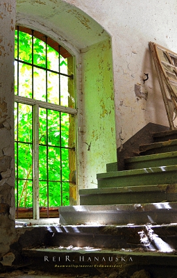 Spinnerei Erdmannnsdorf 2014